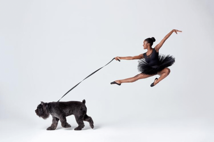 A Ballerina leaping while walking a furry dog