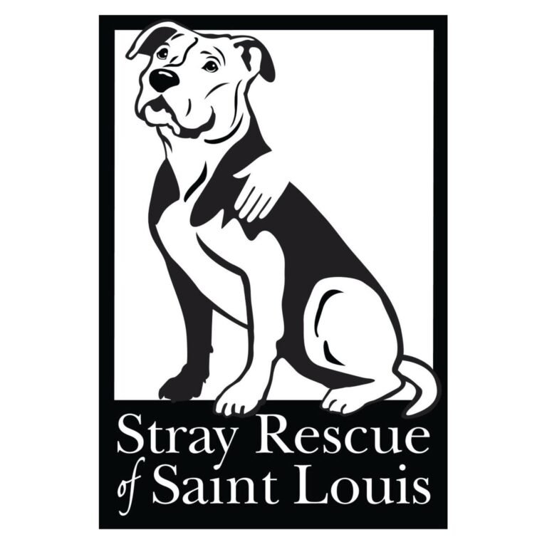 415080446 764823052357421 378441466236535219 n 1 768x768