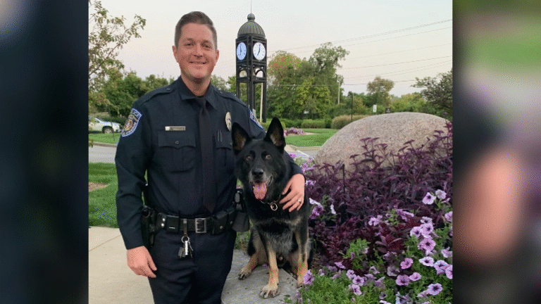 Officer with german Shepard dog