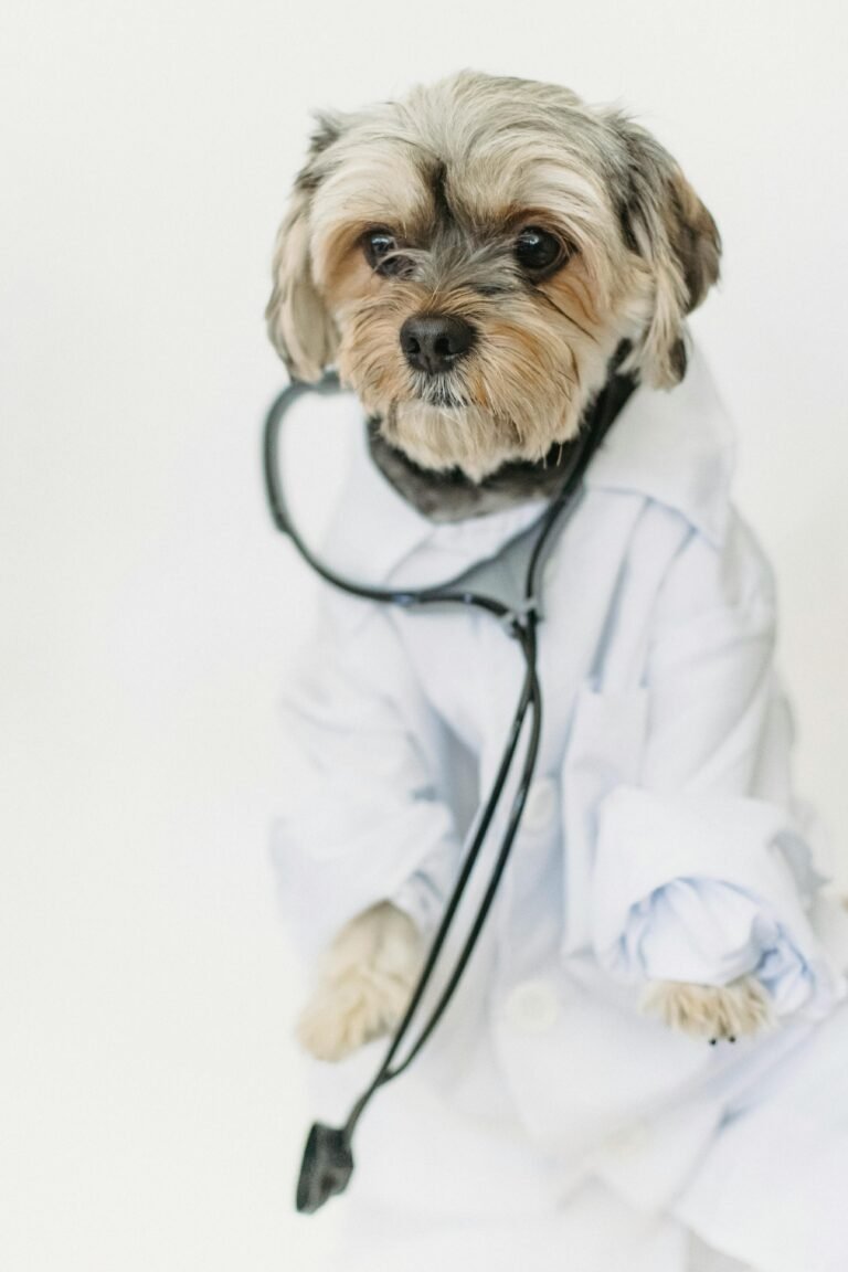Ask Dr. Dog