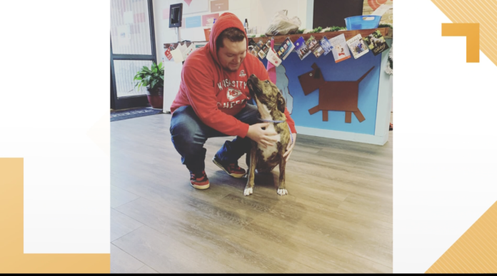 Owner reunited with three legged dog