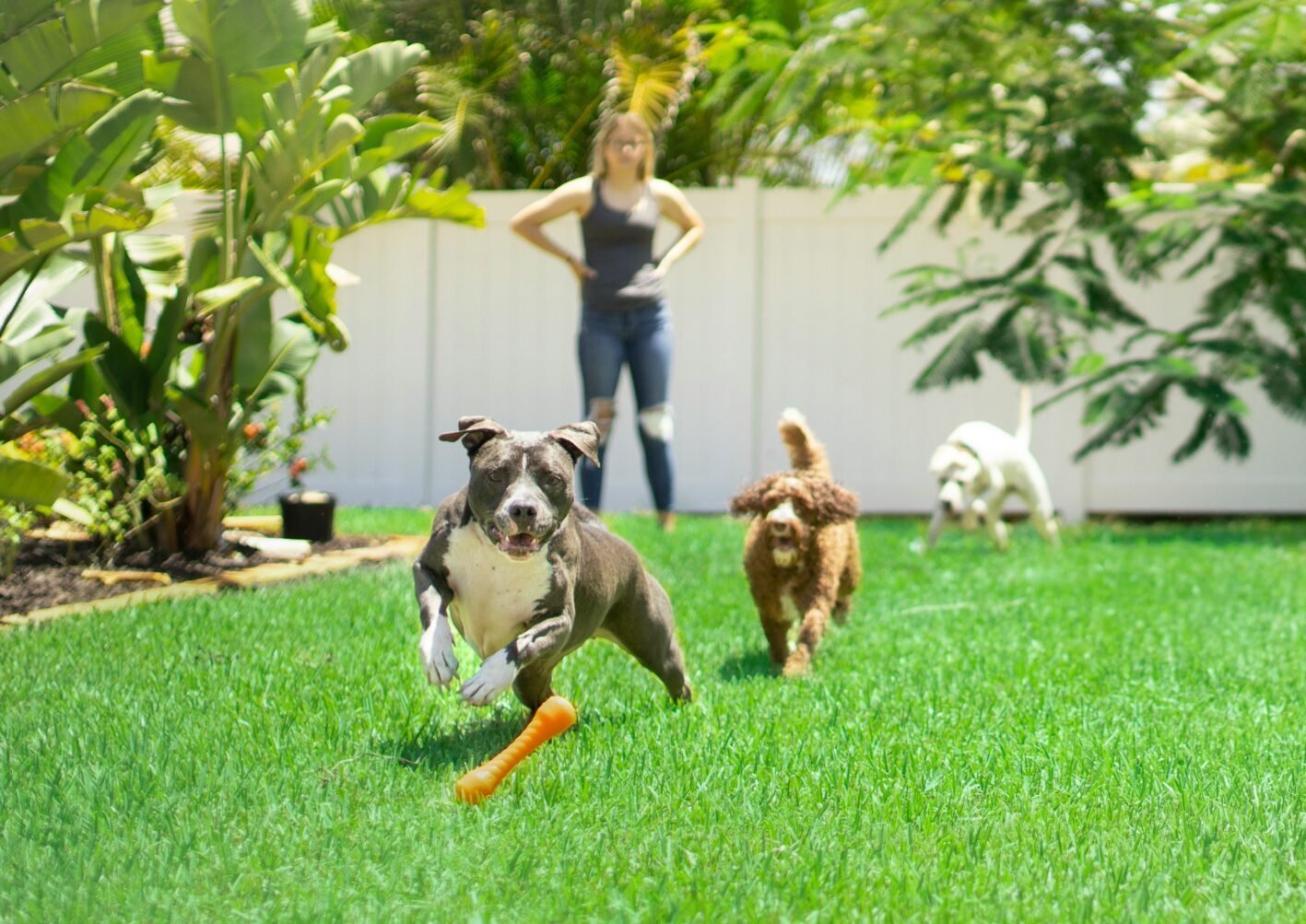 anthony-duran-XFLY0Yp3Gow-unsplash